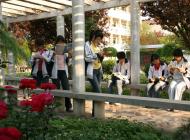 我們?cè)诤椭C的校園環(huán)境中享受著學(xué)習(xí)的快樂
